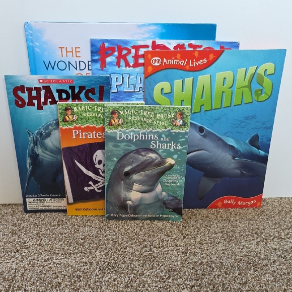 Other - Children's Shark and Pirate Book Set Bundle